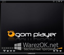 GOM Player 2.2.80.5243