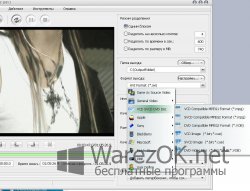 Aone Ultra Video Splitter 6.2.0.411 + 
