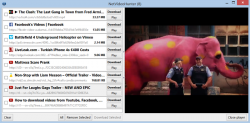 NetVideoHunter Video Downloader 1.17  Mozilla Firefox