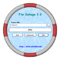 Скачать программу File Salvage 2.0 бесплатно