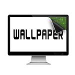 Скачать программу EvJO Wallpaper Changer 2.0 бесплатно