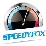 Скачать программу SpeedyFox 2.0.15 бесплатно