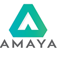 Скачать программу Amaya 11.4.7 бесплатно