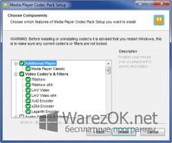 Media Player Codec Pack 4.3.9
