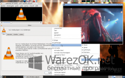 VLC Media Player (VideoLAN) 2.2.2
