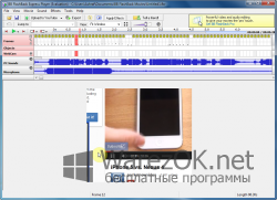 BlueBerry FlashBack Express Recorder Rus / Eng + Crack