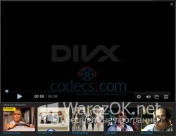 DivX Web Player 2.0.2.39