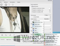 Aone Ultra Video Splitter 6.2.0.411 + Ключ
