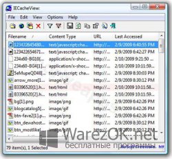 Internet Cache Explorer 2.60