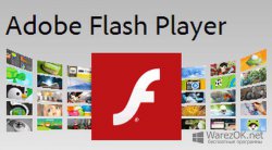 Adobe Flash Player 21.0.0.242