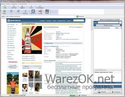 VKLife 2.1.0 и 3.1.0.1 для Яндекс.Браузер