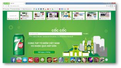 CocCoc Browser 54.2.129