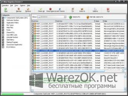 Wise Registry Cleaner 8.31.543 + Portable
