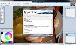 Paint.NET 4.0.8